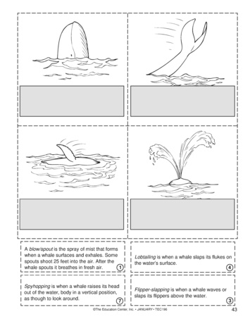 Whale Booklet (page 2 of 2), Lesson Plans - The Mailbox