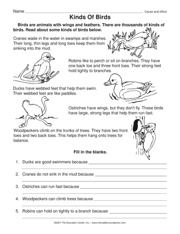 Kinds of Birds, Lesson Plans - The Mailbox