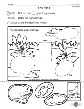 Drawing Living Things Worksheet by Teach Simple